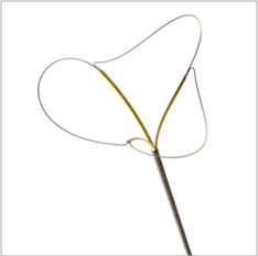 Urolog{ia